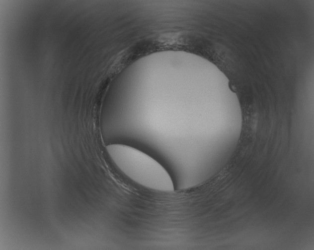 X0000053000710200507080955