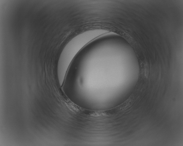 X0000053000712200507080955