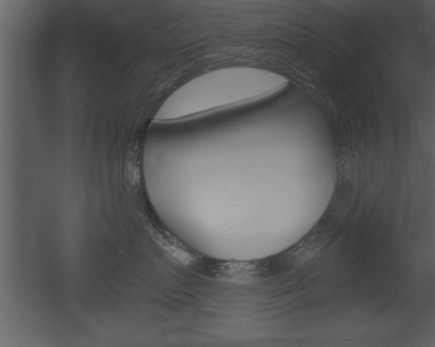 X0000053000719200507080955