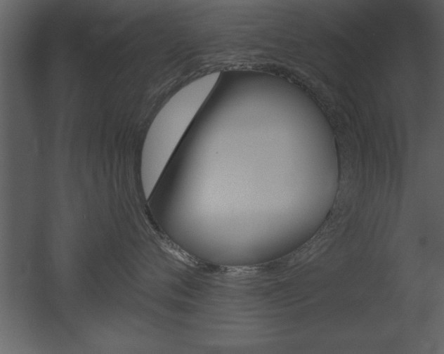 X0000053000720200507080955