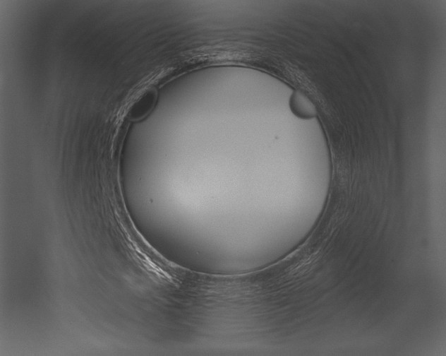 X0000053000721200507080954