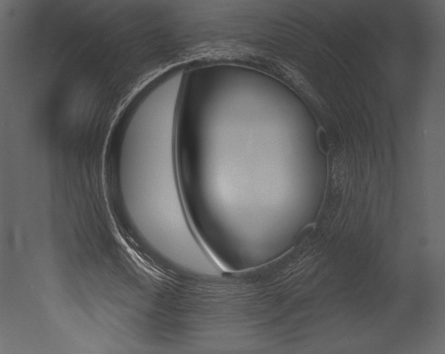 X0000053000722200507080954