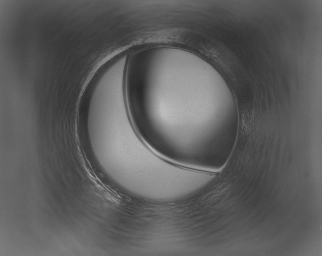 X0000053000724200507080954