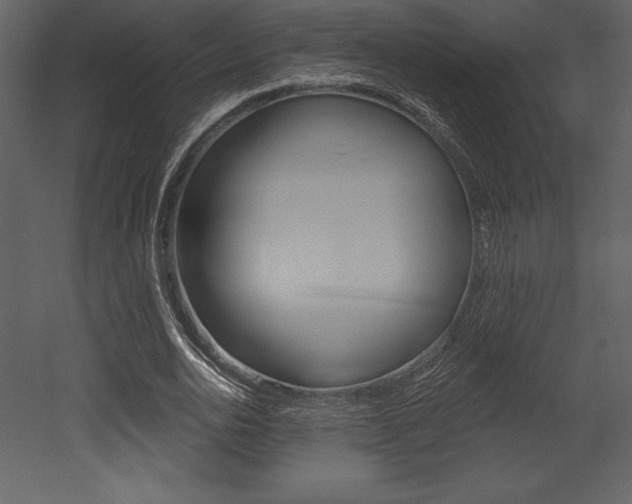 X0000053000726200507080954