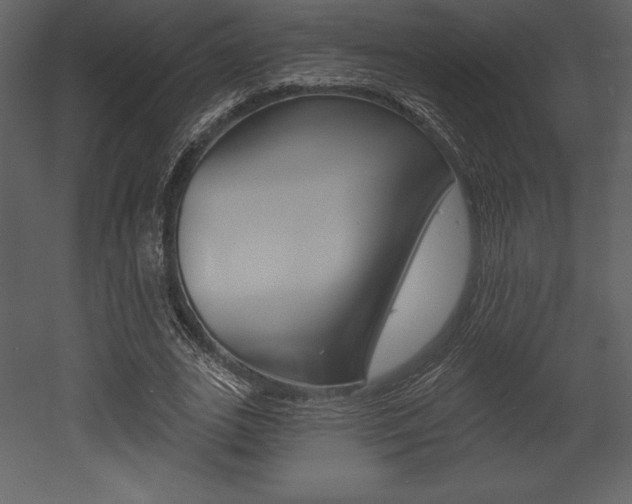 X0000053000727200507080954