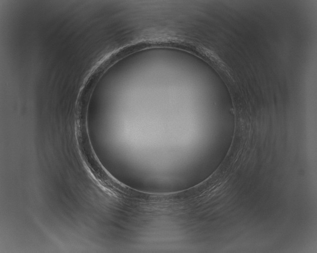 X0000053000728200507080954
