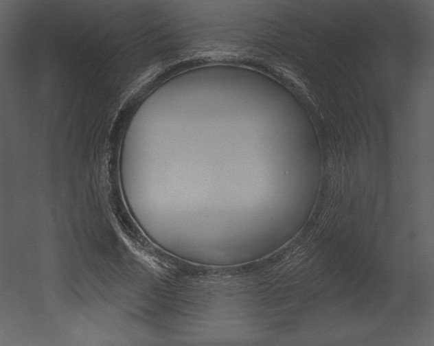 X0000053000730200507080954