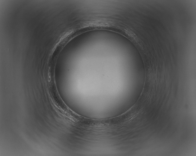 X0000053000731200507080954