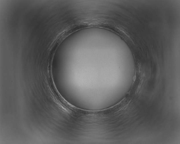 X0000053000733200507080954