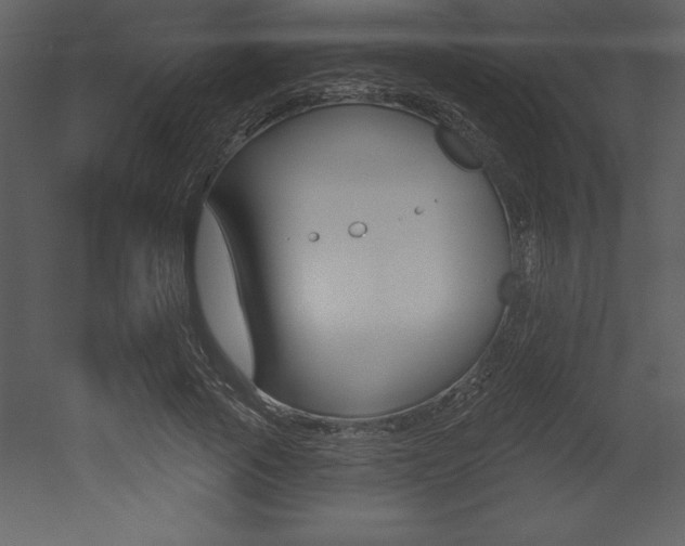 X0000053000737200507080954