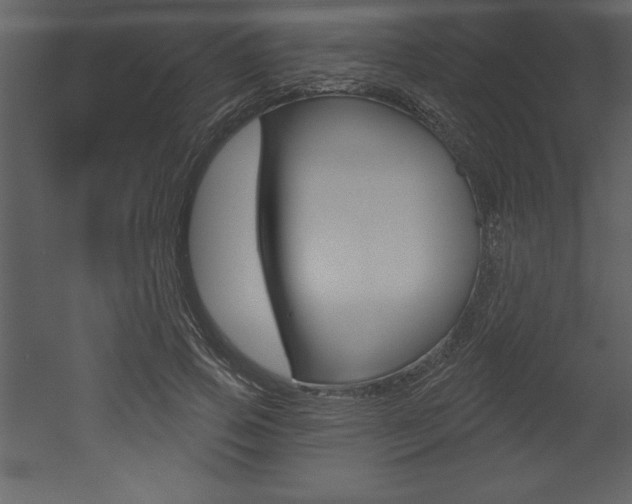 X0000053000741200507080955
