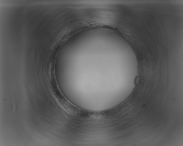 X0000053000742200507080955