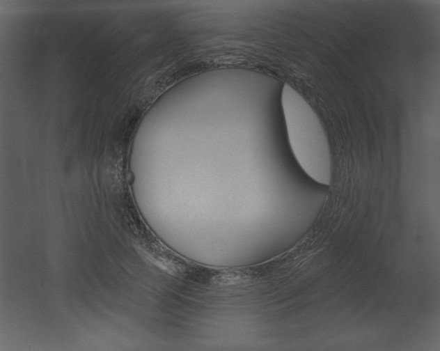 X0000053000745200507080955