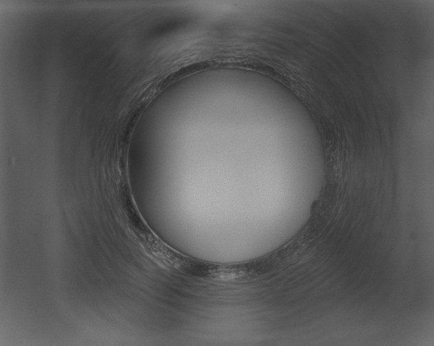 X0000053000746200507080955