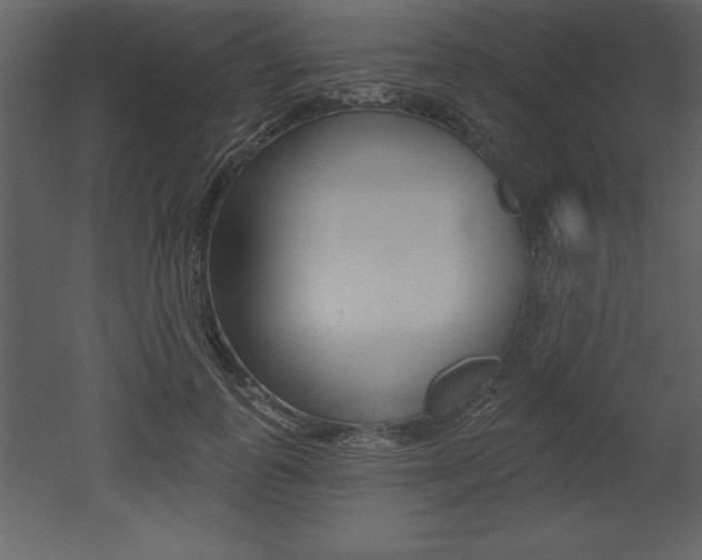X0000053000747200507080955