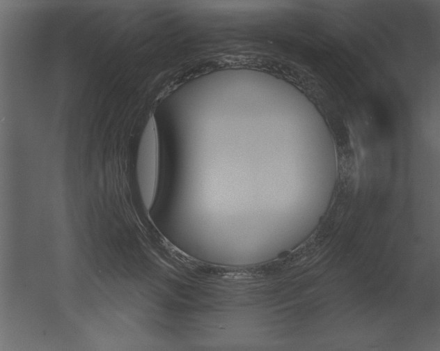 X0000053000749200507080955