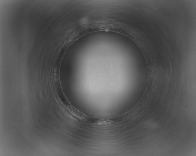 X0000053000752200507080955