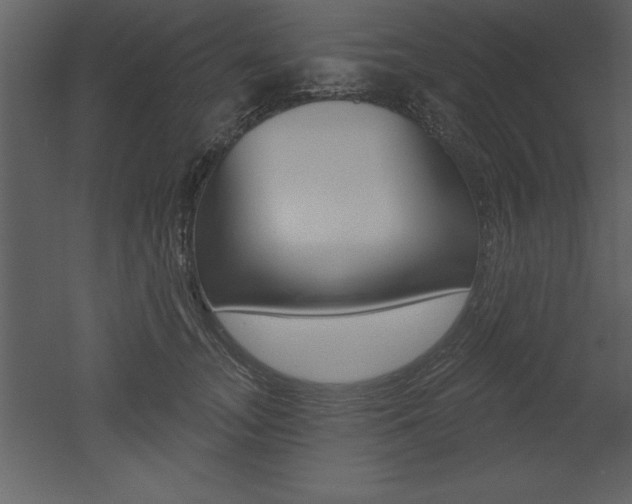 X0000053000755200507080955