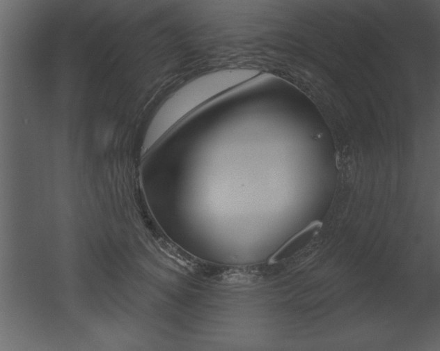 X0000053000756200507080955