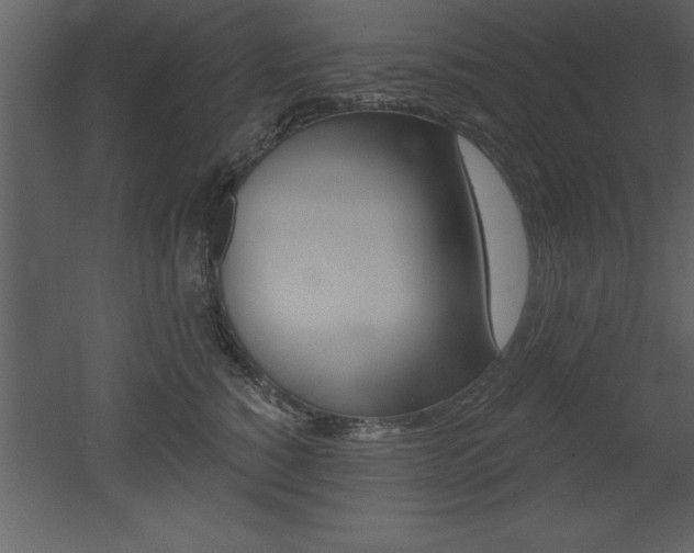 X0000053000760200507080955
