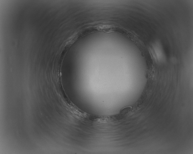 X0000053000763200507080955