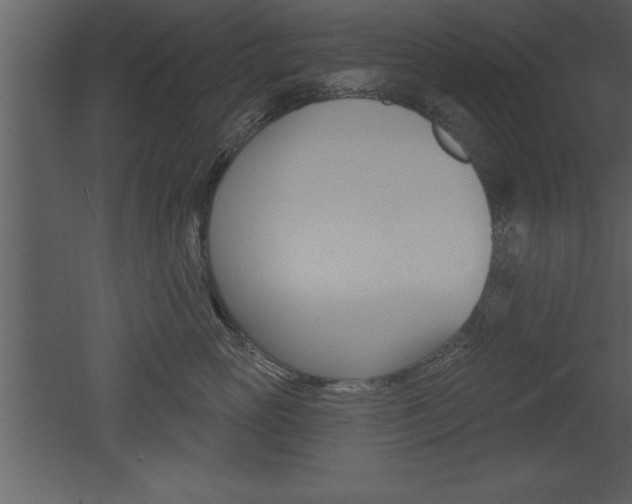 X0000053000765200507080955