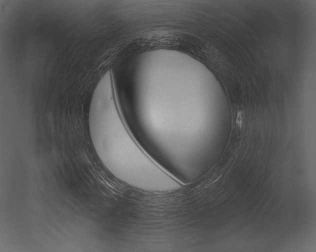 X0000053000771200507080954