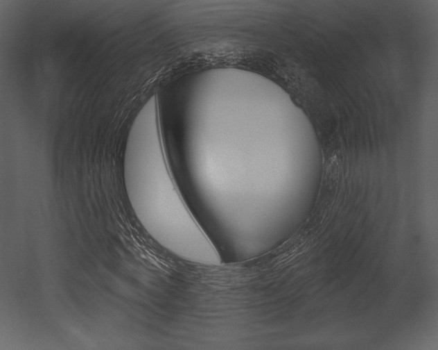 X0000053000772200507080954