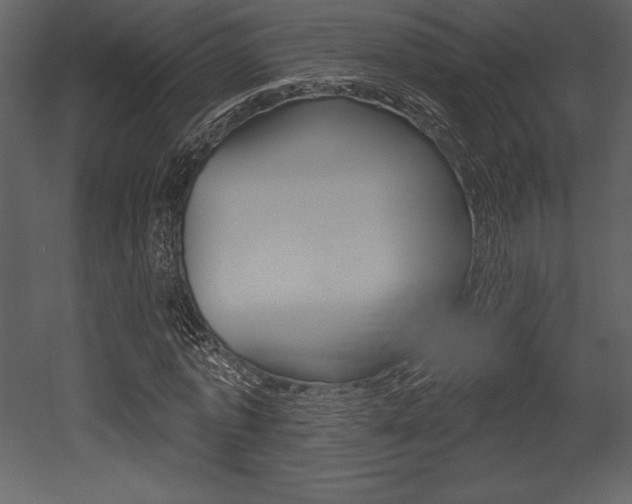 X0000053000773200507080954