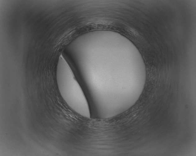 X0000053000774200507080954