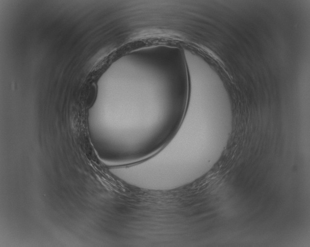 X0000053000775200507080954