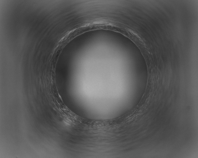 X0000053000776200507080954