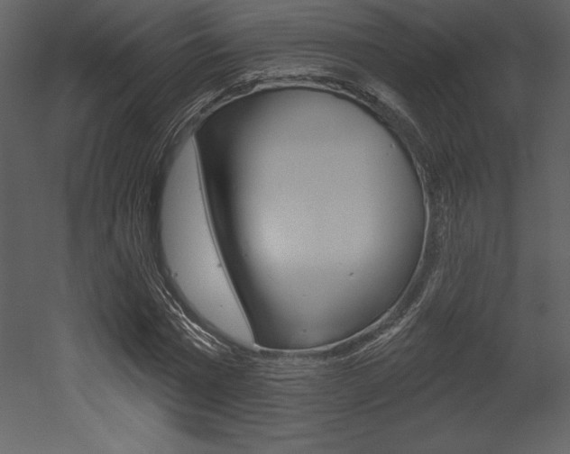 X0000053000777200507080954
