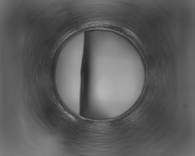 X0000053000778200507080954