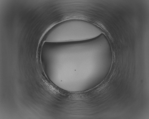 X0000053000780200507080954