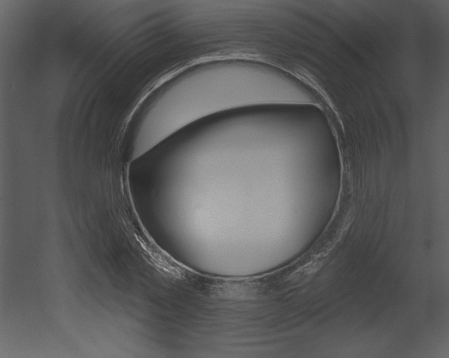 X0000053000781200507080954