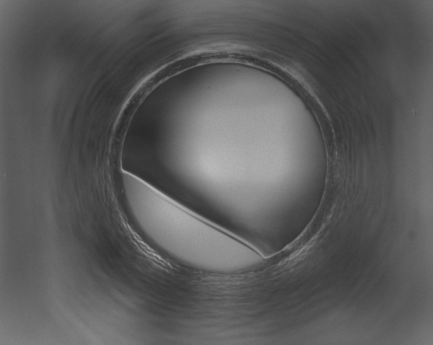 X0000053000783200507080954