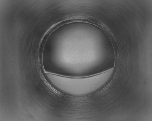 X0000053000784200507080954
