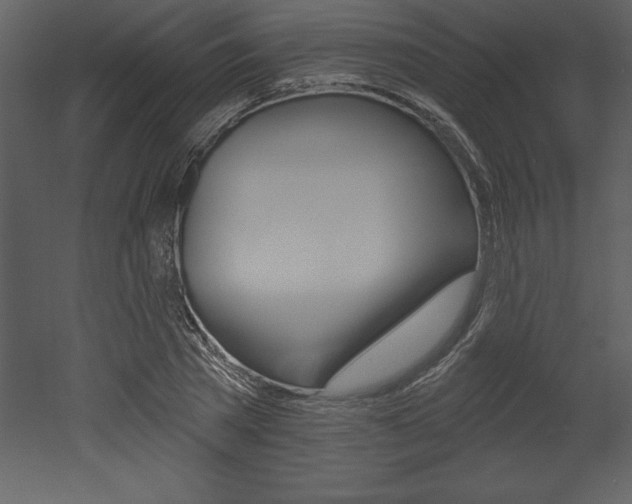 X0000053000785200507080954