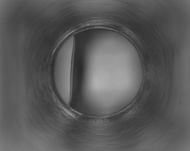 X0000053000786200507080954