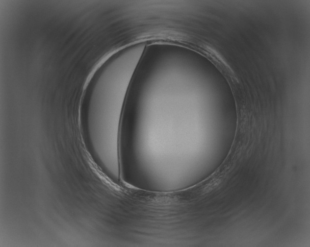 X0000053000788200507080954