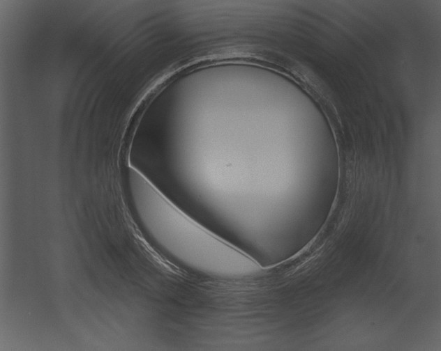 X0000053000789200507080954
