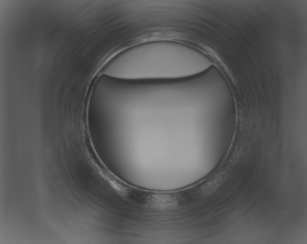 X0000053000794200507080954