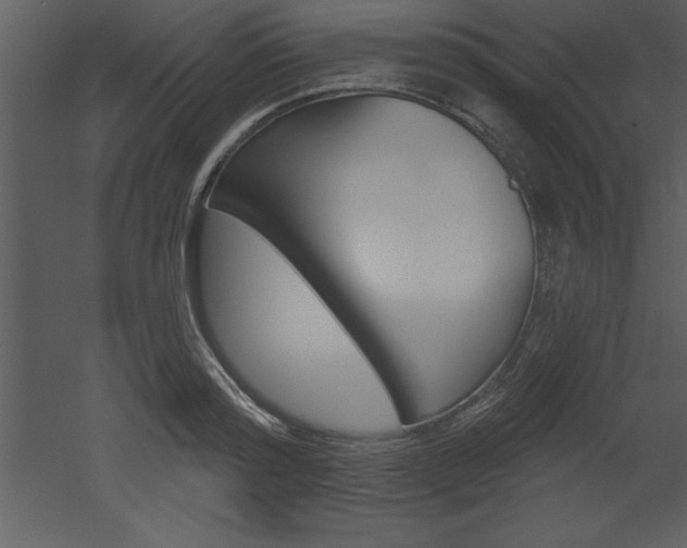 X0000053000796200507080954