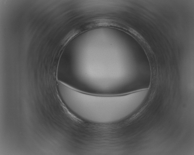 X0000053000801200507080954