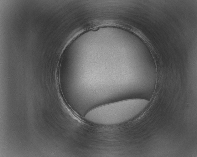 X0000053000806200507080954