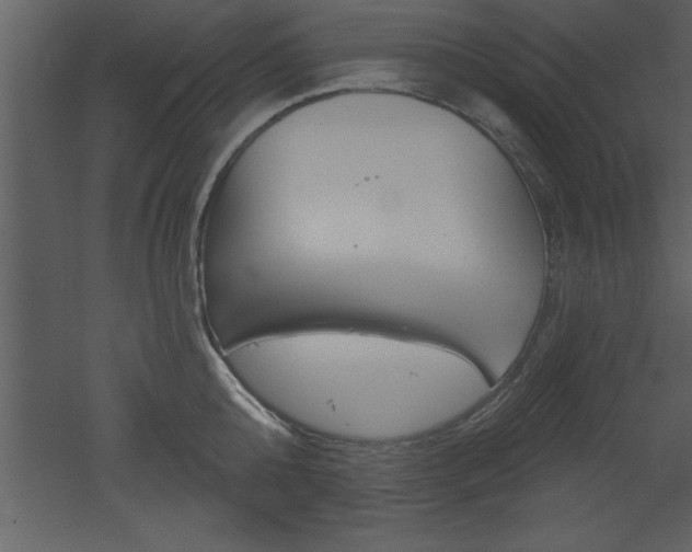 X0000053000808200507080953
