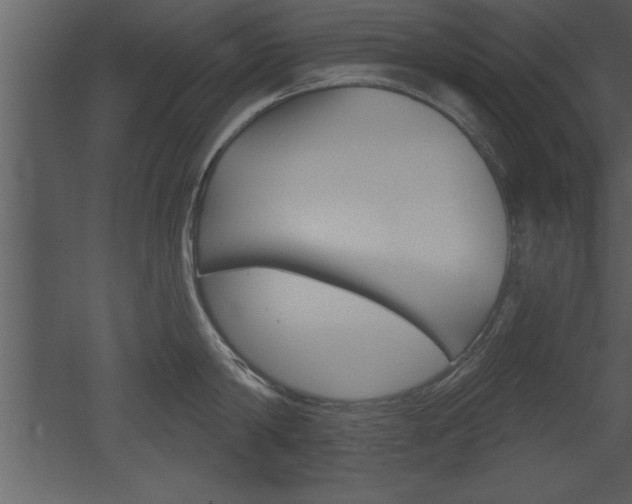 X0000053000814200507080953