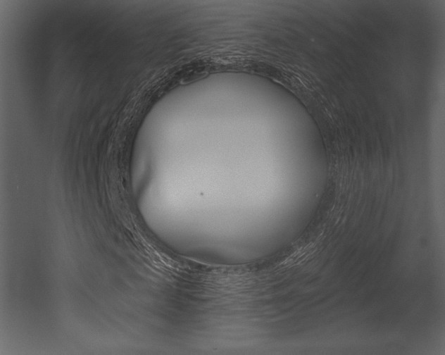 X0000053000817200507080953