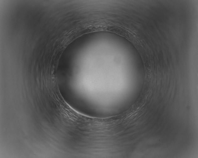 X0000053000818200507080953